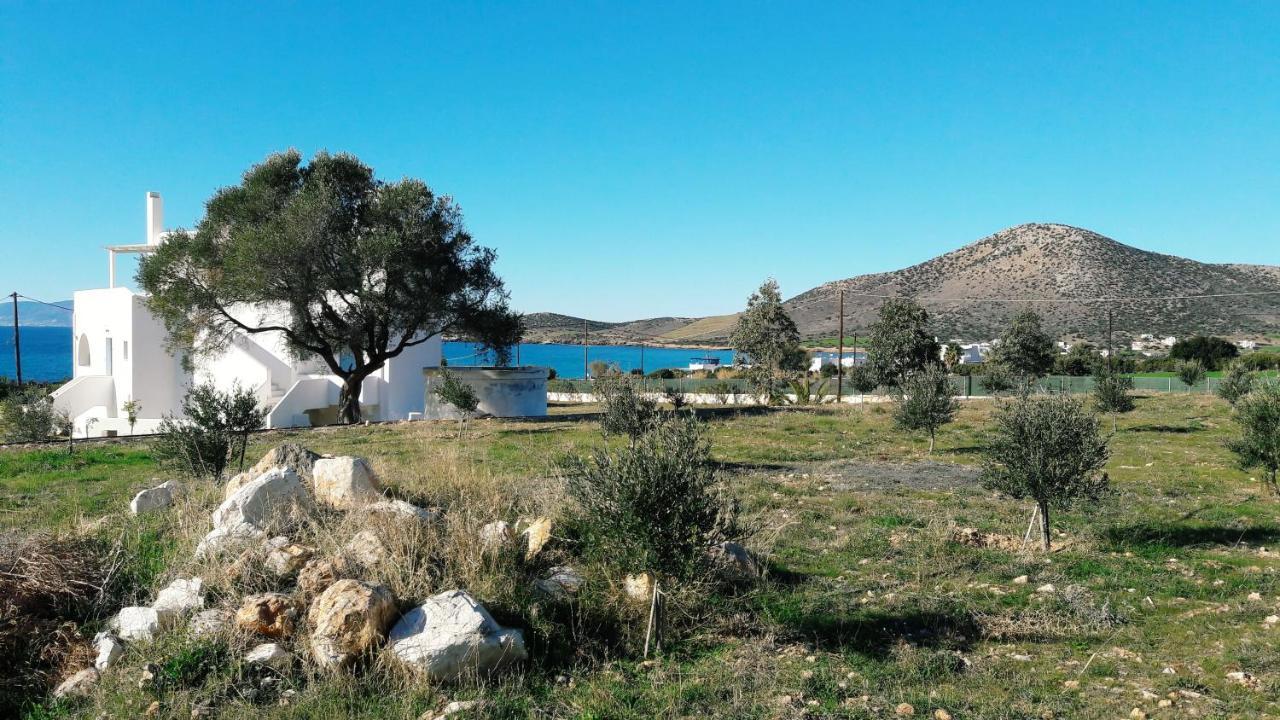 Agiassos Naxos Apartments מראה חיצוני תמונה