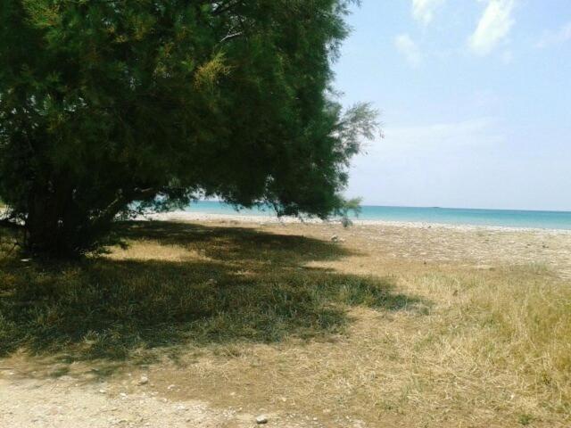 Agiassos Naxos Apartments מראה חיצוני תמונה